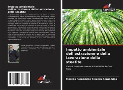 Impatto ambientale dell'estrazione e della lavorazione della steatite - Fernandes, Marcos Fernandes Teixera