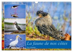 La faune de nos côtes les oiseaux (Calendrier mural 2025 DIN A3 vertical), CALVENDO calendrier mensuel - Gaymard, Alain