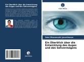 Ein Überblick über die Entwicklung des Auges und des Sehvermögens