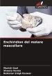 Enchiridion del molare mascellare - Bild 1