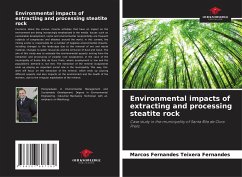 Environmental impacts of extracting and processing steatite rock - Fernandes, Marcos Fernandes Teixera