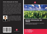 MICRO-IRRIGAÇÃO NO TRIGO