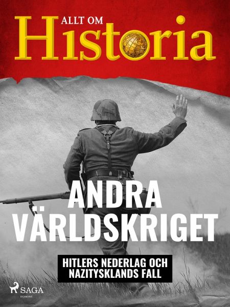 Andra världskriget - Hitlers nederlag och Nazitysklands fall (eBook, ePUB)