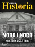 Mord i norr - Mordfall som skakade Norden (eBook, ePUB)