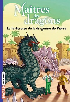 Cover Maîtres des dragons, Tome 17 (eBook, ePUB)