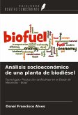 Análisis socioeconómico de una planta de biodiésel