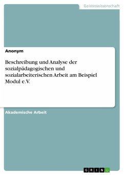 Beschreibung und Analyse der sozialpädagogischen und sozialarbeiterischen Arbeit am Beispiel Modul e.V. - Anonymous