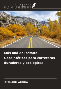 Más allá del asfalto: Geosintéticos para carreteras duraderas y ecológicas - Arora, Rishabh