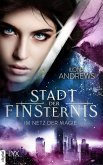 Stadt der Finsternis - Im Netz der Magie (eBook, ePUB)