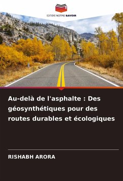 Au-delà de l'asphalte : Des géosynthétiques pour des routes durables et écologiques - Arora, Rishabh