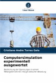 Computersimulation experimentell ausgewertet