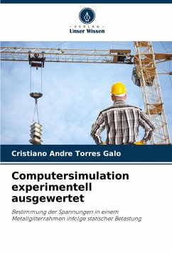 Computersimulation experimentell ausgewertet - Galo, Cristiano André Torres
