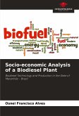 Socio-economic Analysis of a Biodiesel Plant