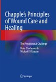 Chapple's Principles of Wound Care and Healing (eBook, PDF)