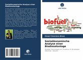 Sozioökonomische Analyse einer Biodieselanlage