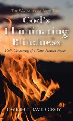 God's Illuminating Blindness - Croy, Dwight David