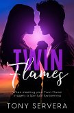 Twin Flames (eBook, ePUB)