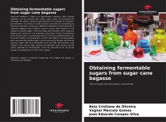 Obtaining fermentable sugars from sugar cane bagasse - Cristiane de Oliveira, Bela;Marcelo Gomes, Vagner;Campos Silva, João Eduardo