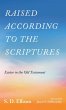 Raised according to the Scriptures - Bild 1