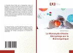 Le Monoxyde d'Azote: Décryptage par la Bioinorganique