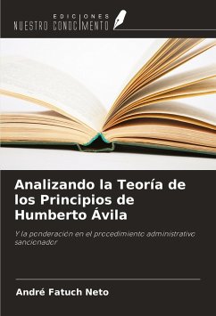 Analizando la Teoría de los Principios de Humberto Ávila - Neto, Andre Fatuch