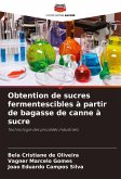 Obtention de sucres fermentescibles à partir de bagasse de canne à sucre