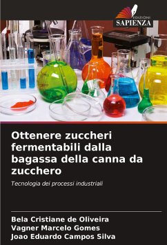 Ottenere zuccheri fermentabili dalla bagassa della canna da zucchero - Cristiane de Oliveira, Bela;Marcelo Gomes, Vagner;Campos Silva, João Eduardo