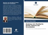 Analyse von Humberto Ávilas Theorie der Grundsätze