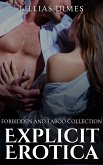 Explicit Erotica (eBook, ePUB)