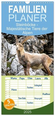 Familienplaner 2025 - Steinböcke - Majestätische Tiere der Alpen mit 5 Spalten (Wandkalender, 21 x 45 cm) CALVENDO