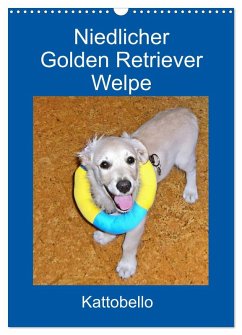 Niedlicher Golden Retriever Welpe (Wandkalender 2025 DIN A3 hoch), CALVENDO Monatskalender