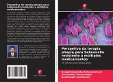 Perspetiva da terapia phop/q para Salmonella resistente a múltiplos medicamentos