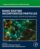Nano-Enzyme Incorporated Particles (eBook, ePUB)
