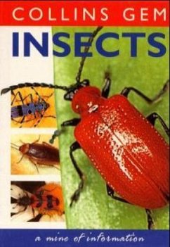 Insects