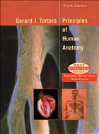 Principles of Human Anatomy