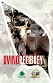 Ovino pelibuey (eBook, ePUB)