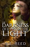 The Darkness of Dying in the Light (eBook, ePUB) The Darkness of Dying in the Light (eBook, ePUB)