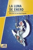 La luna de enero (eBook, ePUB)