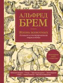 Жизнь животных. Большая иллюстрированная энциклопедия (eBook, ePUB)