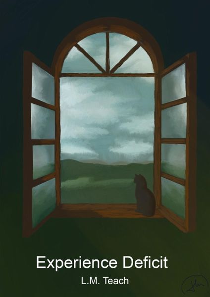 Experience Deficit (eBook, ePUB) Experience Deficit (eBook, ePUB)