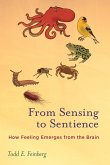 From Sensing to Sentience