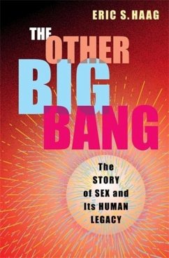 The Other Big Bang - Haag, Eric S.