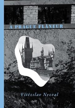 Cover A Prague Flaneur