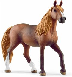 Cover Schleich 13953 - Horse Club, Paso Peruano Stute, Pferd, Höhe: 10,5 cm