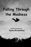 Falling Through the Madness (eBook, ePUB)