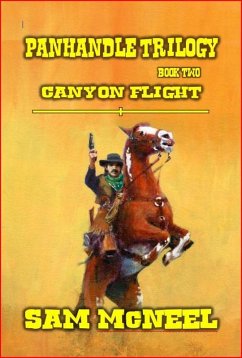 Cover Panhandle Trilogy - Canyon Flight (eBook, ePUB)