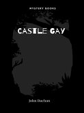 Castle Gay (eBook, ePUB)