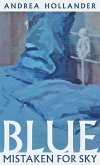 Blue Mistaken for Sky (eBook, ePUB)