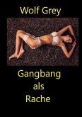 Gangbang als Rache (eBook, ePUB)
