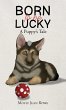 Born to be Lucky (eBook, ePUB) - Bild 1